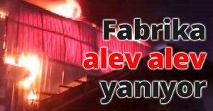 Fabrika alev alev yanıyor