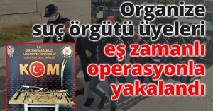 Organize suç örgütü üyeleri eş zamanlı operasyonla yakalandı