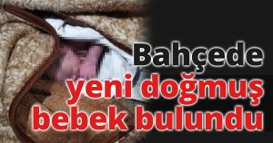 Bahçede yeni doğmuş bebek bulundu