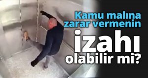Kamu malına zarar vermenin izahı olabilir mi?