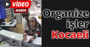 Organize işler Kocaeli