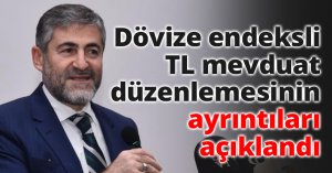 Dövize endeksli TL mevduat düzenlemesinin ayrıntıları açıklandı