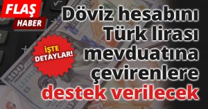 Döviz hesabını Türk lirası mevduatına çevirenlere destek verilecek