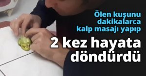 Ölen kuşunu dakikalarca kalp masajı yapıp 2 kez hayata döndürdü