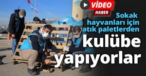 Sokak hayvanları için atık paletlerden kulübe yapıyorlar