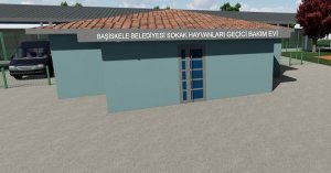 Başiskele'de sokak hayvanları için bakımevi yapılacak