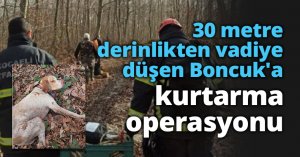 30 metre derinlikten vadiye düşen Boncuk'a kurtarma operasyonu