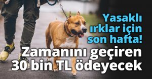 Yasaklı ırklar için son hafta! Zamanını geçiren 30 bin TL ödeyecek