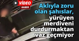 Aklıyla zoru olan şahıslar, yürüyen merdiveni durdurmaktan vaz geçmiyor