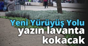 Yeni Yürüyüş Yolu Yazın Lavanta Kokacak