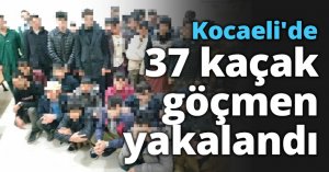 Kocaeli'de 37 kaçak göçmen yakalandı