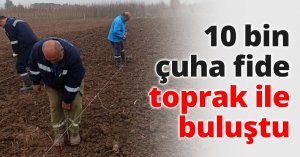 10 bin çuha fide toprak ile buluştu