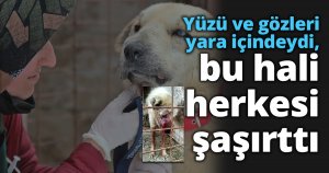 Yüzü ve gözleri yara içindeydi, bu hali herkesi şaşırttı