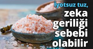 İyotsuz tuz, zeka geriliği sebebi olabilir