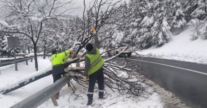 Gebze bölgesinde kar yağışında kırılan ağaç dalları kaldırılıyor