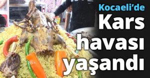 Kocaeli’de Kars havası yaşandı