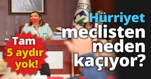 Hürriyet meclisten neden kaçıyor?