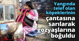Yangında telef olan köpeklerinin çantasına sarılarak gözyaşlarına boğuldu