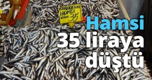 Hamsi 35 liraya düştü