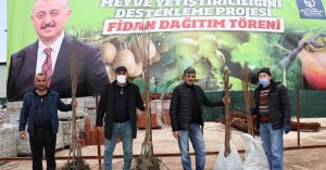 Büyükşehir’in yüzde 50 hibeli fidan dağıtımı başladı   