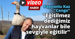Daha önce hiç görmediğiniz papyonlu yol arkadaşı