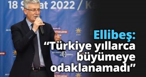 Ellibeş: “Türkiye yıllarca  büyümeye odaklanamadı”
