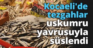 Kocaeli'de tezgahlar uskumru yavrusuyla süslendi