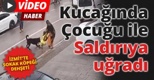 Köpek üzerine doğru koşunca kucağındaki çocuğu düşürdü
