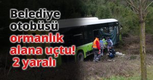Belediye otobüsü ormanlık alana uçtu: 2 yaralı