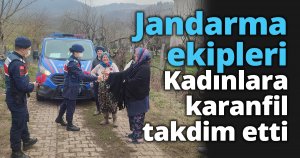 Jandarma ekipleri kadınlara karanfil takdim etti