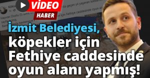 İzmit Belediyesi, köpekler için Fethiye caddesinde oyun alanı yapmış!