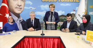 Özdemir ; 