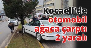 Kocaeli'de otomobil ağaca çarptı: 2 yaralı