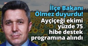 Ayçiçeği ekimi yüzde 75 hibe destek programına alındı