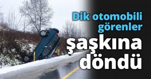 Dik otomobili görenler şaşkına döndü