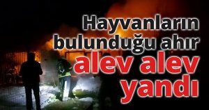 Hayvanların bulunduğu ahır alev alev yandı