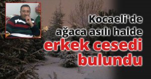 Kocaeli'de ağaca asılı halde erkek cesedi bulundu