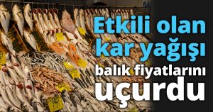 Kar yağışı balık fiyatlarını uçurdu