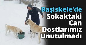 Başiskele’de Sokaktaki Can Dostlarımız Unutulmadı