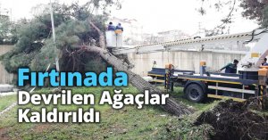 Fırtınada Devrilen Ağaçlar Kaldırıldı