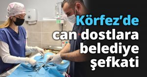 Körfez’de can dostlara belediye şefkati