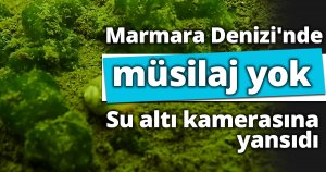 Marmara Denizi'nde müsilaj yok: Su altı kamerasına yansıdı