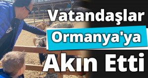 Vatandaşlar Ormanya'ya Akın Etti