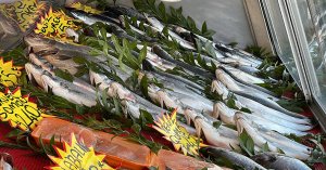 Karadeniz'deki avcılık yasağının fiyatlara yansıması bekleniyor