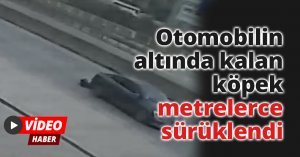 Otomobilin altında kalan köpek metrelerce sürüklendi, o anlar güvenlik kamerasına yansıdı