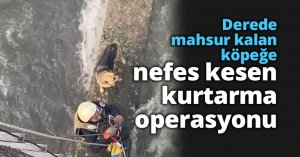 Derede mahsur kalan köpeğe nefes kesen kurtarma operasyonu