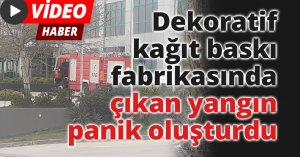 Dekoratif kağıt baskı fabrikasında çıkan yangın panik oluşturdu