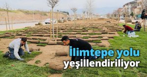 İlimtepe yolu yeşillendiriliyor