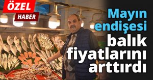 Mayın endişesi balık fiyatlarını arttırdı