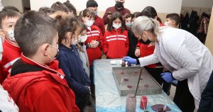 KO-MEK ebru sanatını miniklere tanıttı